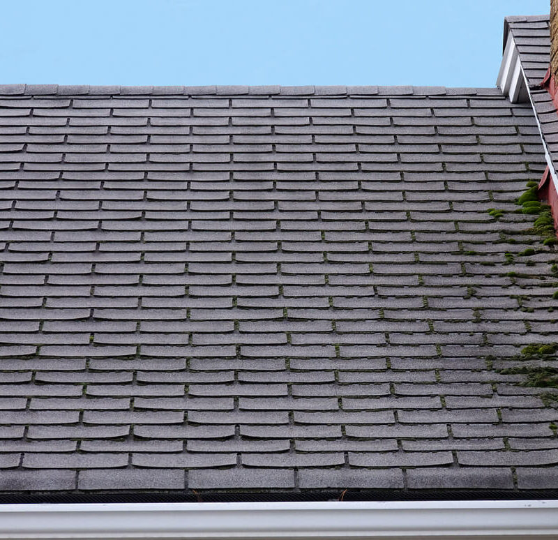 New Roof or Repair? How to Determine What You Need