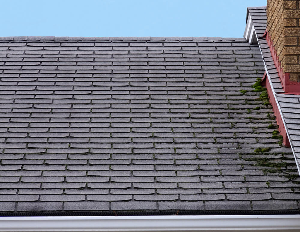 New Roof or Repair? How to Determine What You Need