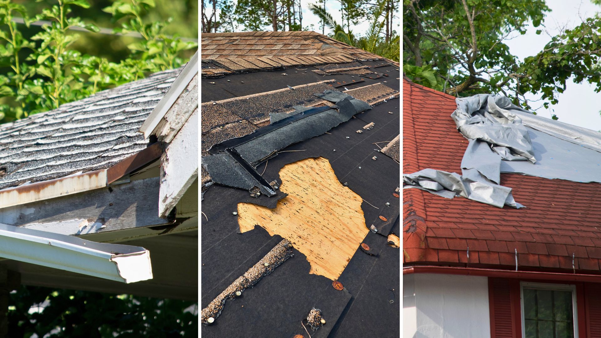 examples of roof damage
